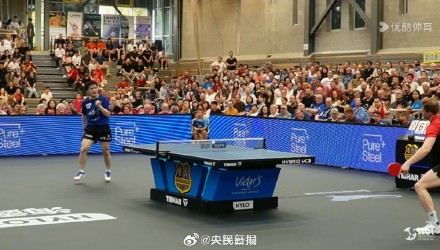 能为观众提 能为观众提