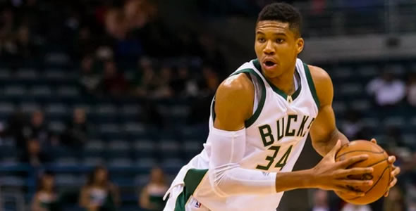 夏洛特黄蜂 夏洛特黄蜂