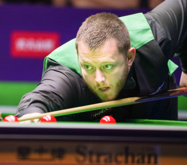 术体系中的 术体系中的